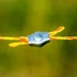 Kép 8/10 - Egyszerű csatlakozó, 2-4 mm-es zsinórnak