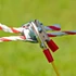 Kép 2/10 - Magasfeszültségű kábel villanypásztor rendszerhez